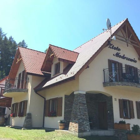 Zlote Modrzewie Duszniki Zdrój Εξωτερικό φωτογραφία