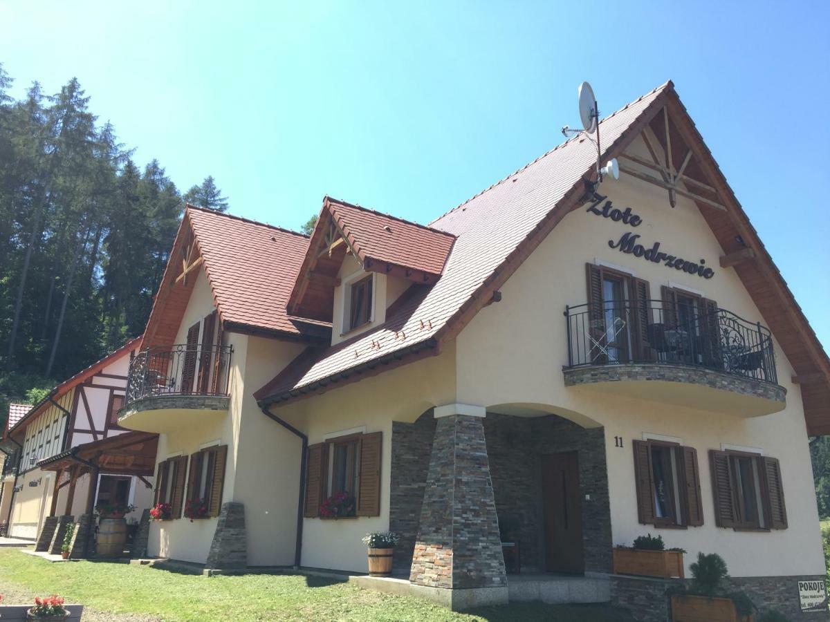 Zlote Modrzewie Duszniki Zdrój Εξωτερικό φωτογραφία